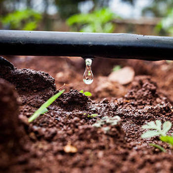 Dripper Line Supplier Pretoria