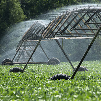 Irrigation Systems Supplier Pretoria